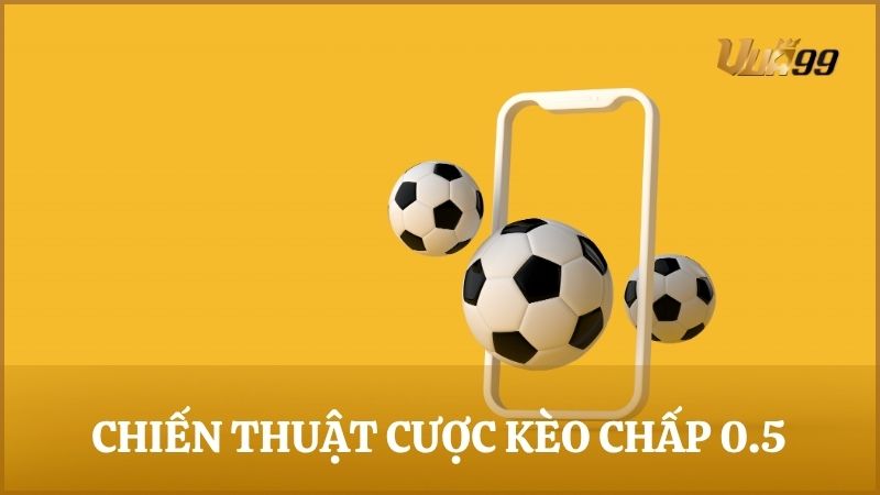 Bỏ túi bí kíp đặt cược kèo chấp nửa trái hiệu quả từ người có kinh nghiệm