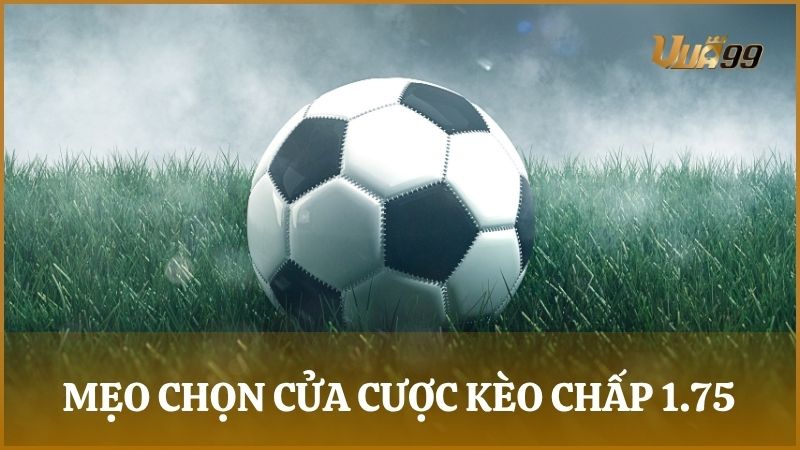 Phân tích trường hợp nên chọn đội cửa trên – cửa dưới trong cược chấp 1.75